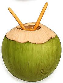 Coconut - $100