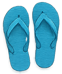 Flip Flops - $50