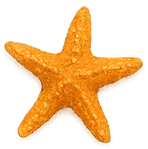 Seastar - $10