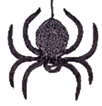 Spider - $50