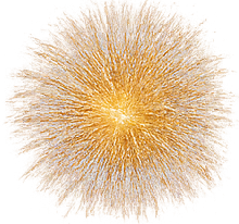 Firework Red - $100