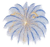 Firework Gold - $200