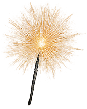 Sparkler - $60