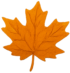 Maple Leaf - $40