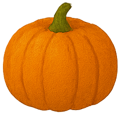 Pumpkin - $300