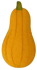 Squash - $80